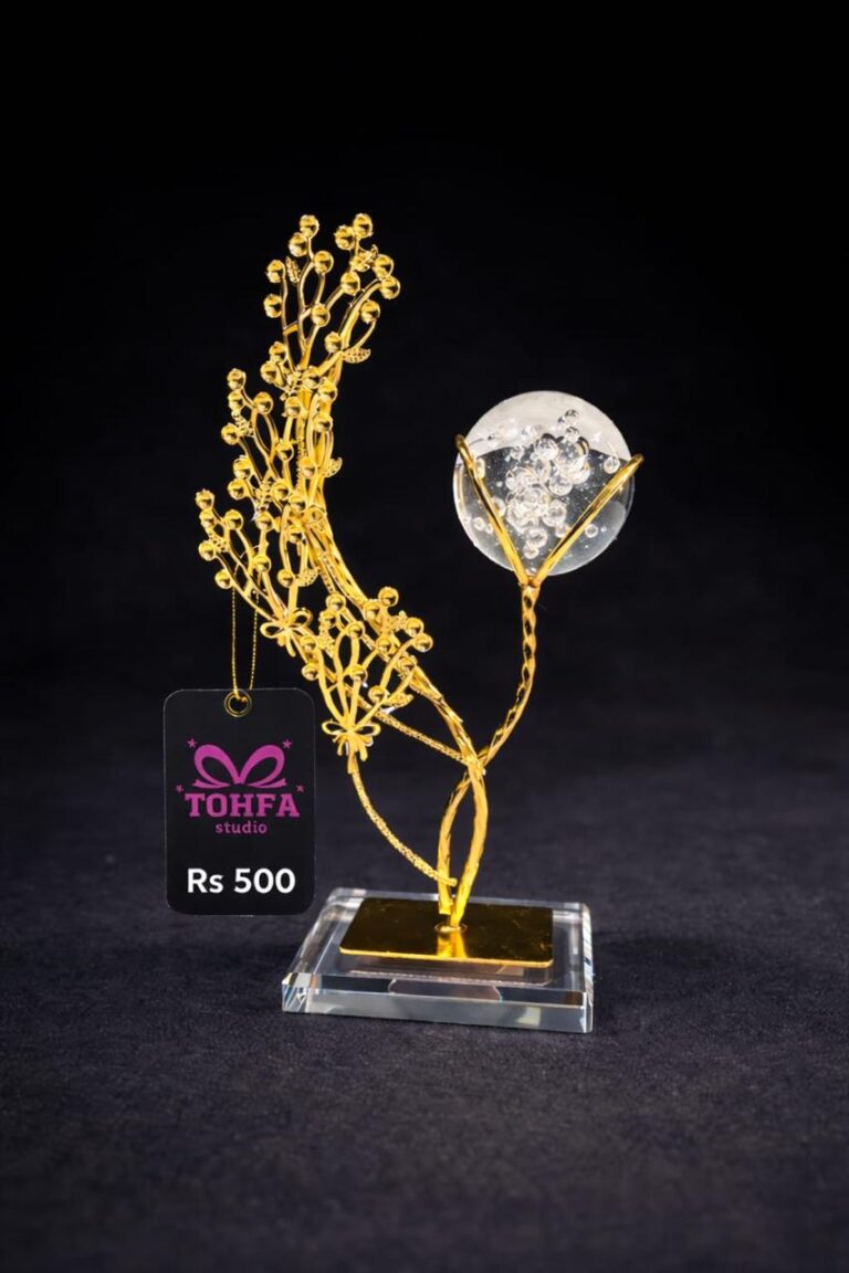 Tohfa Studio