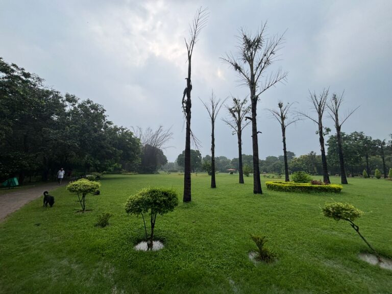 Park View Villa Homestays